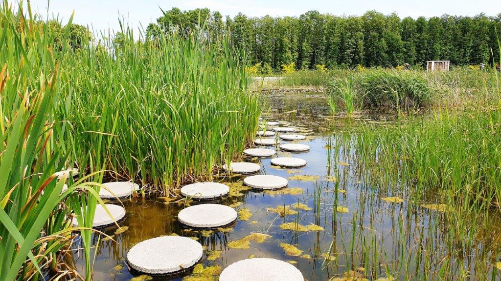 Wellakaros Apartman 10