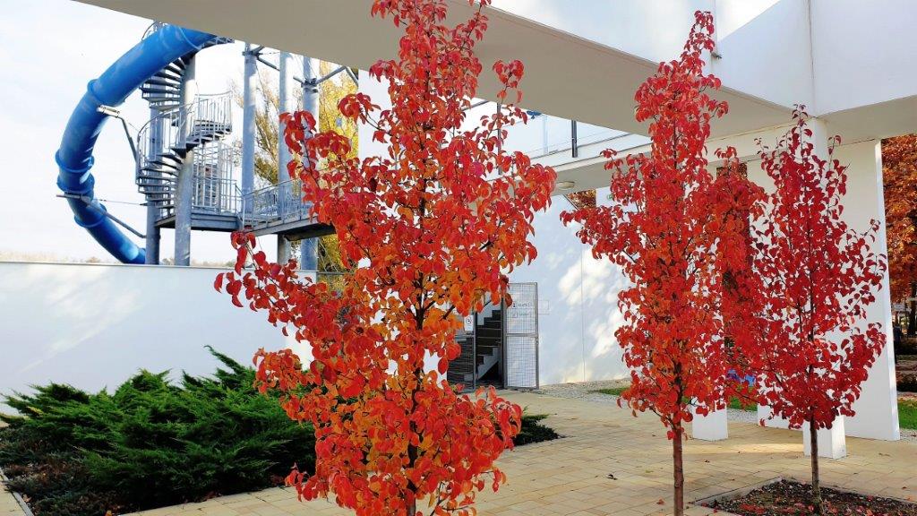 Wellakaros Apartman 16