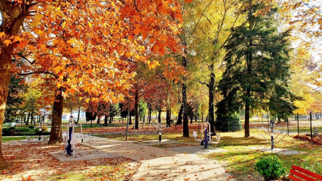 Wellakaros Apartman 17